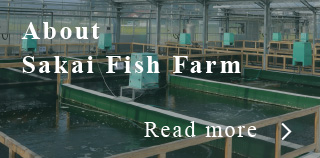 About Sakai Fish Farm