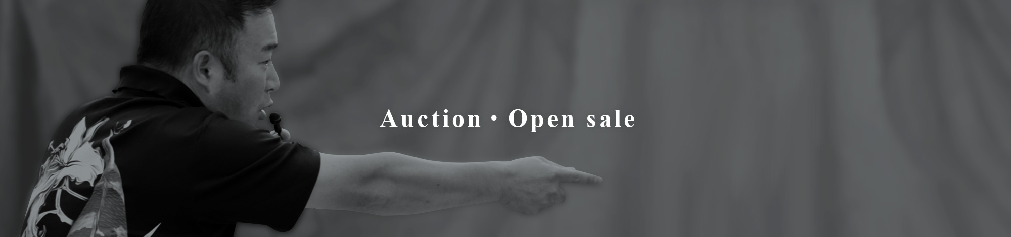 Auction Spot sale fair