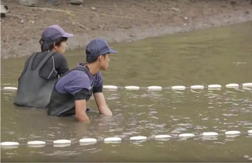 池上げ