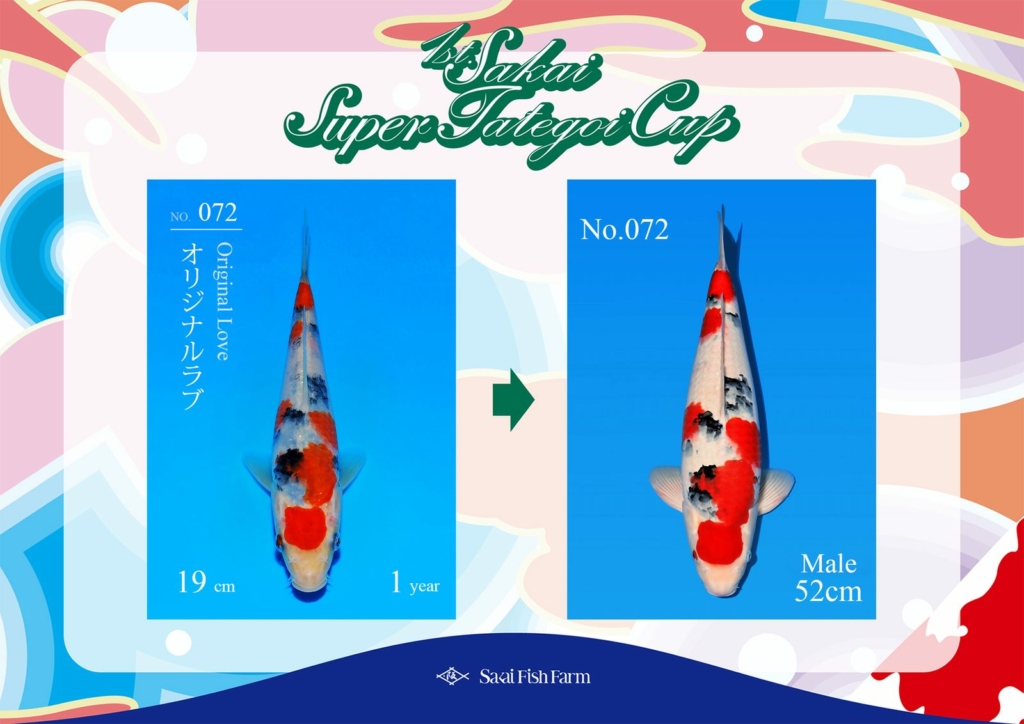 No.072 Original Love Male 52cm